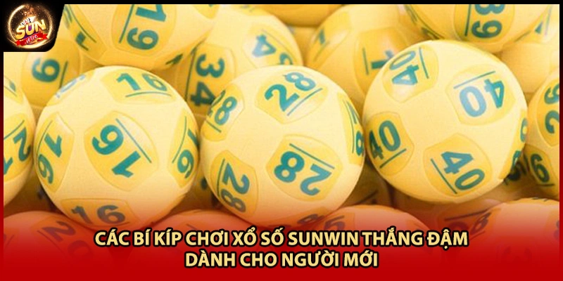 Các bí kíp chơi xổ số Sunwin thắng đậm dành cho người mới
