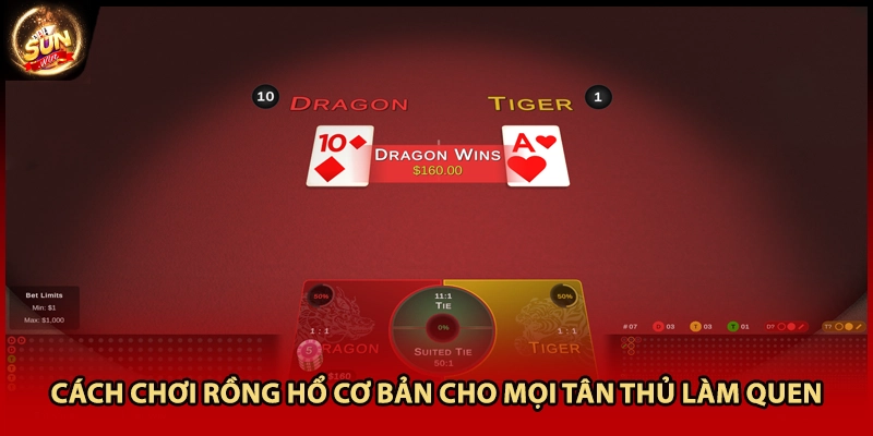 Cách chơi rồng hổ cơ bản cho mọi tân thủ làm quen