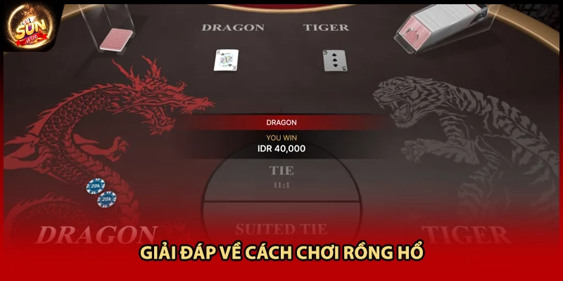Giải đáp về cách chơi Rồng Hổ 