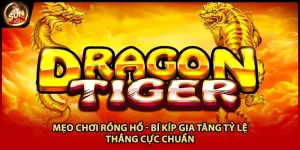 Mẹo Chơi Rồng Hổ - Bí Kíp Gia Tăng Tỷ Lệ Thắng Cực Chuẩn